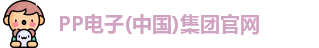 PP电子